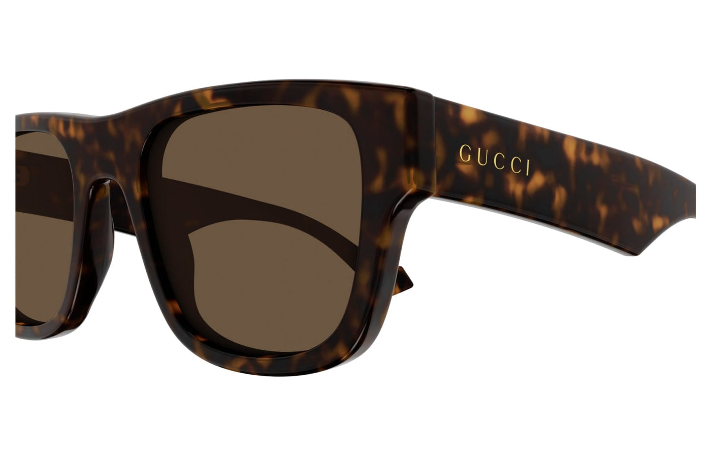 GG1427S Gucci Havana/Brown S