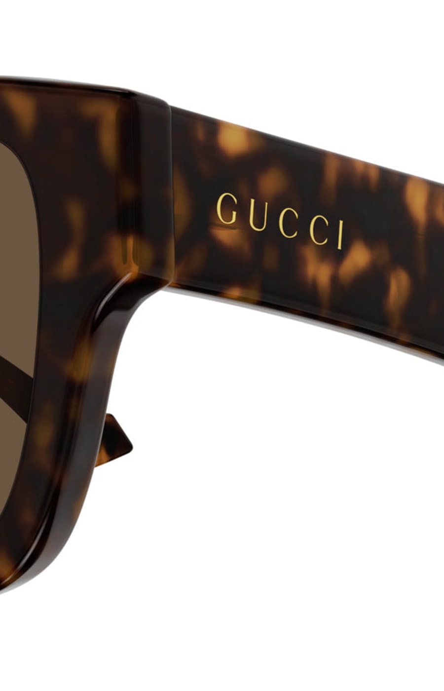 GG1427S Gucci Havana/Brown S