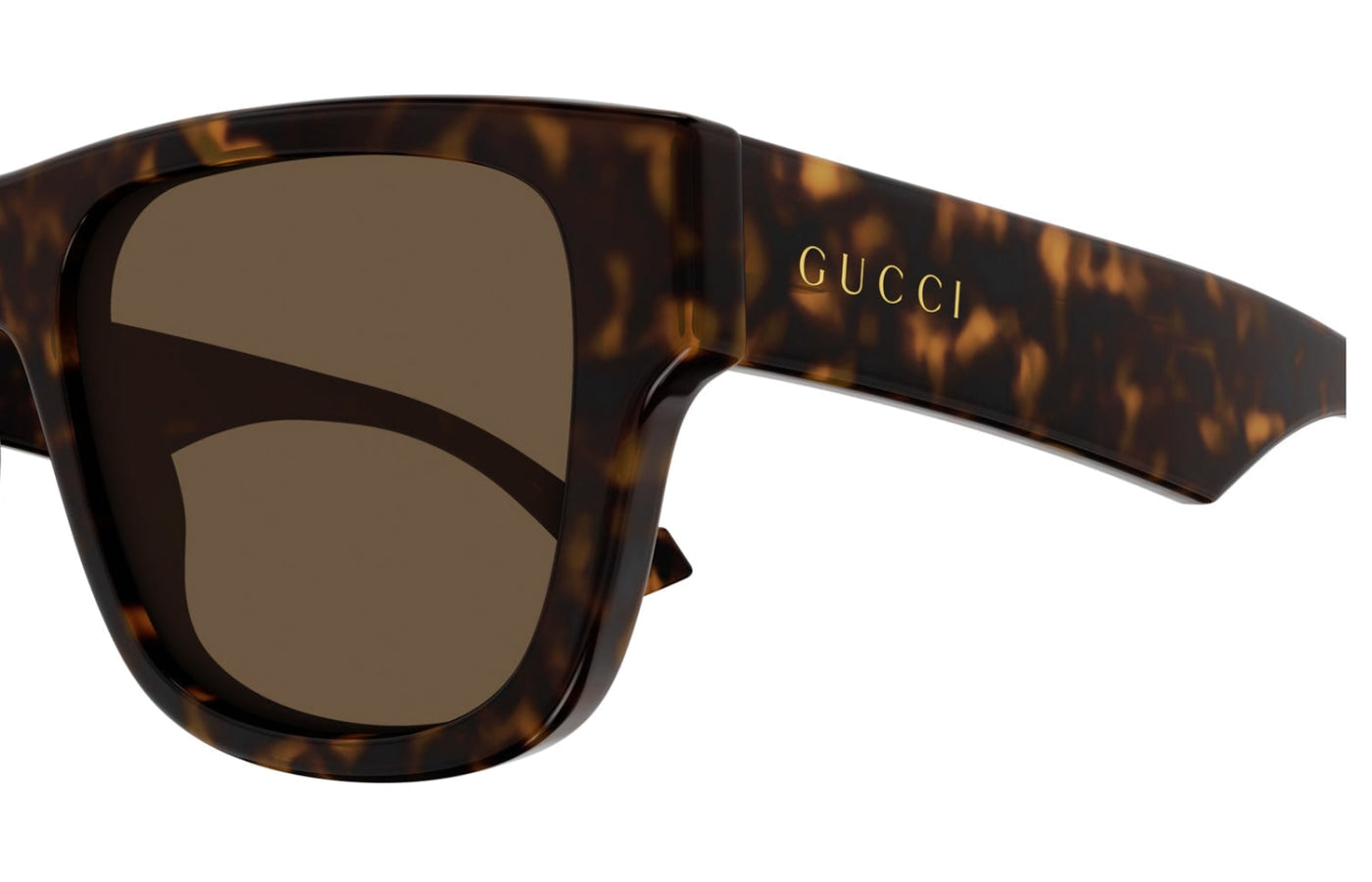 GG1427S Gucci Havana/Brown S