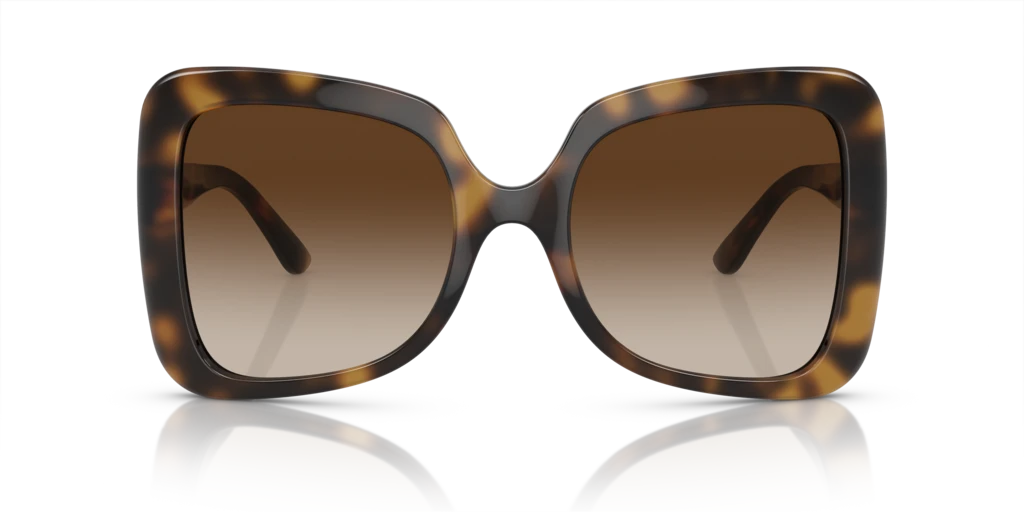 DG6193U Tortoise/Gradient Brown L