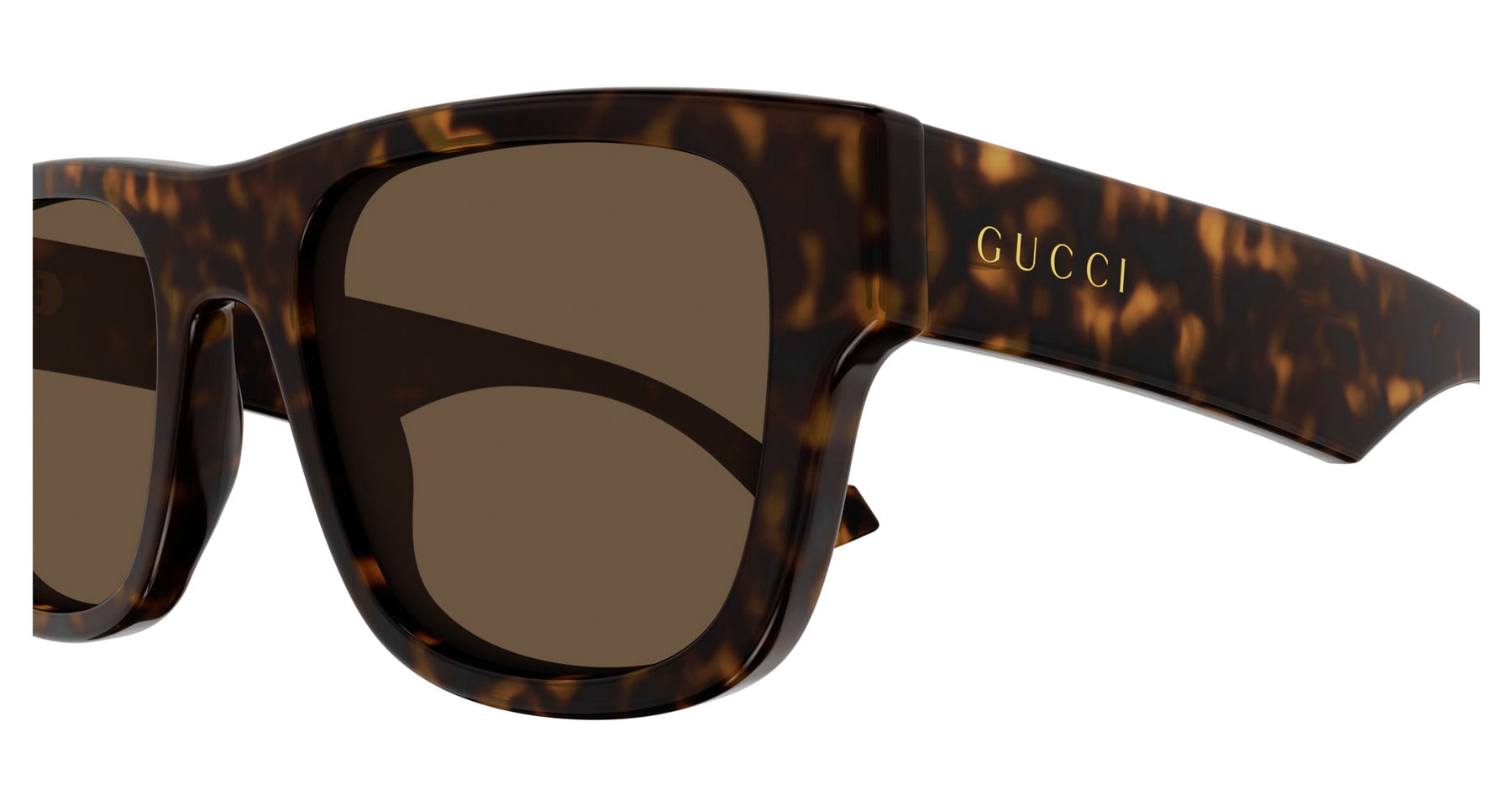 GG1427S Gucci Havana/Brown S