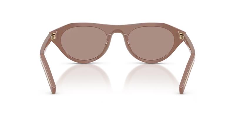 PR B15S Brown/Brown M