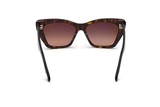 FT0871 Wyatt Tom Ford Havana/Brown M