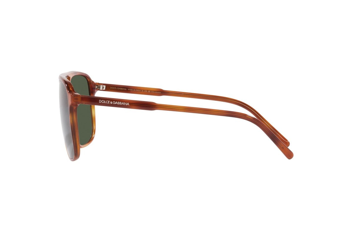 DG 4423 Dolce & Gabbana Havana/Green