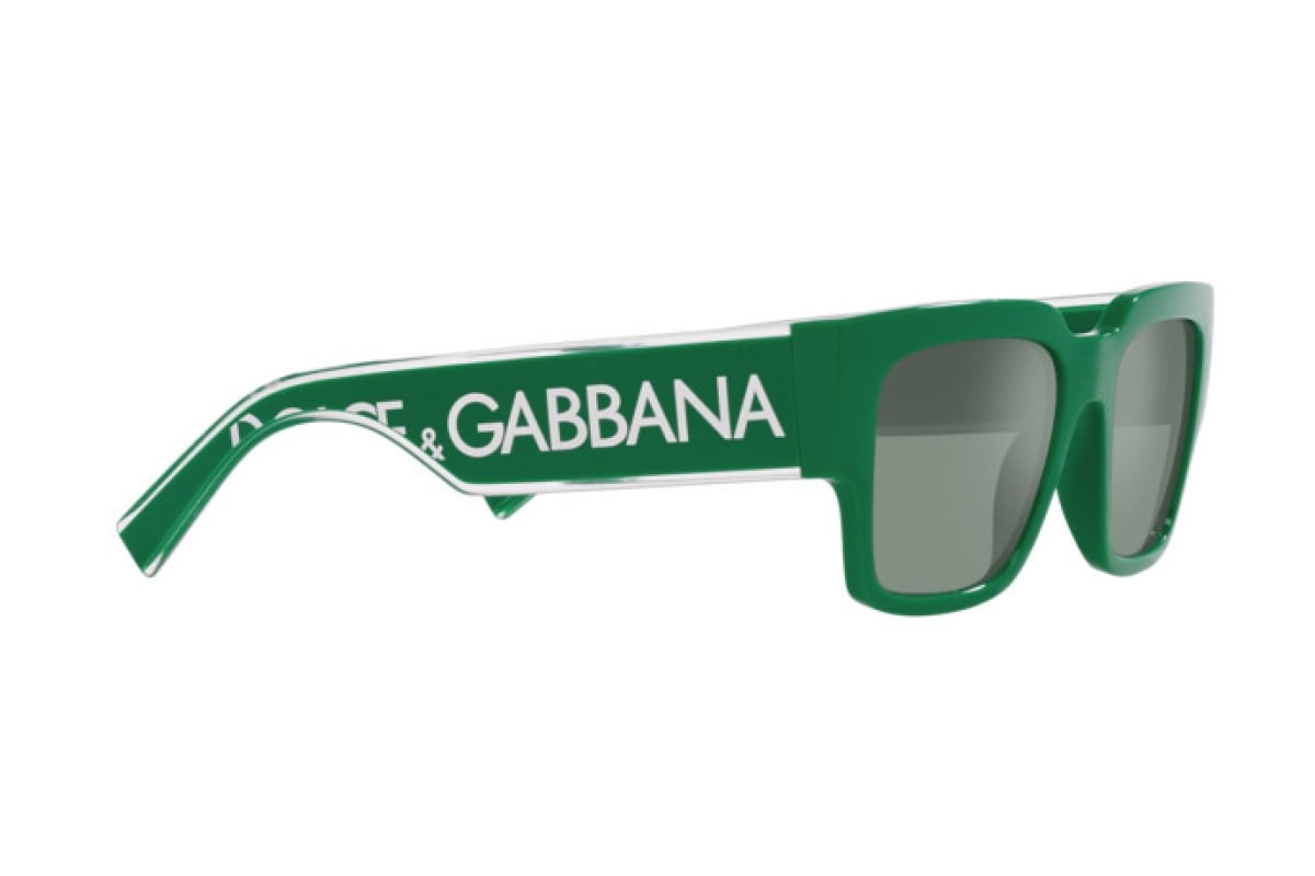 DG?6184?331182 Dolce & Gabbana Green/Silver