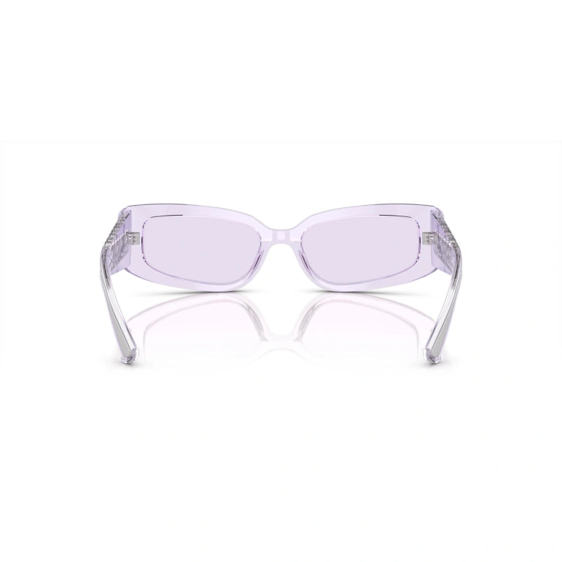 DG4445 Violet/Light Violet S