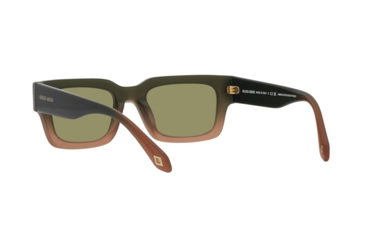 AR8184U?Giorgio Armani Brown/Green