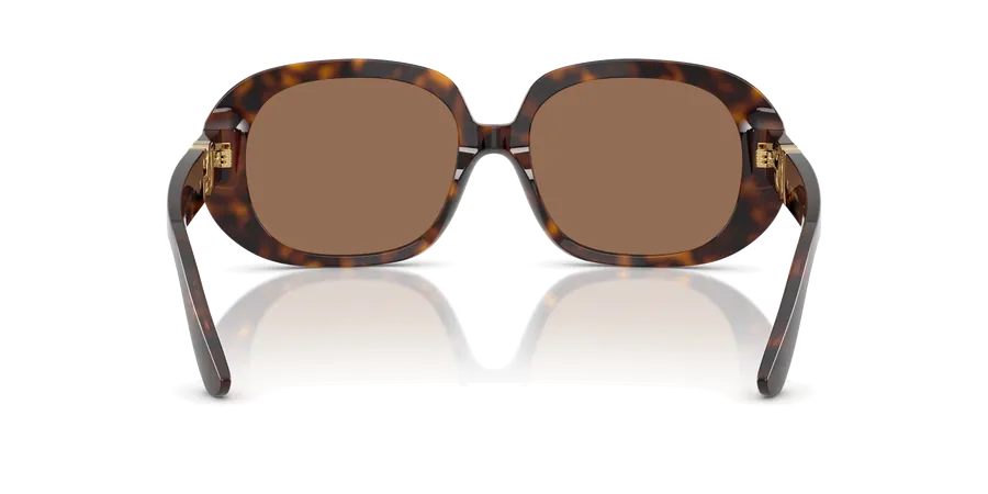 DG4476 Dolce & Gabbana Havana/Brown M