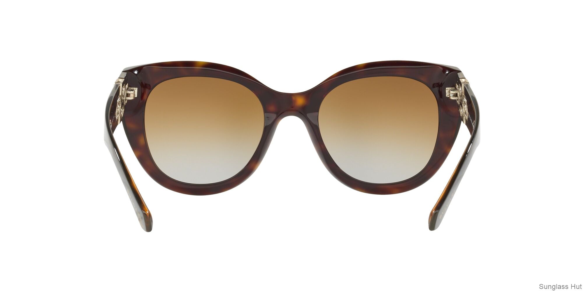 BV8214B Havana/Brown/Polarized L