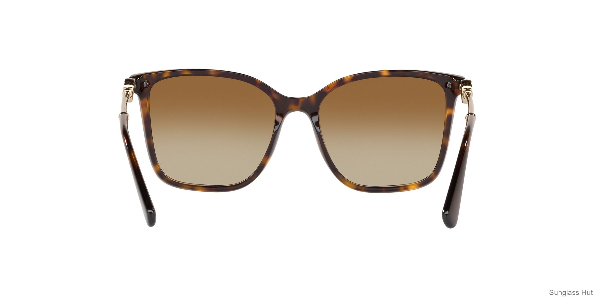 BV8222 Havana/Polar Brown Gradient/Polarized XL