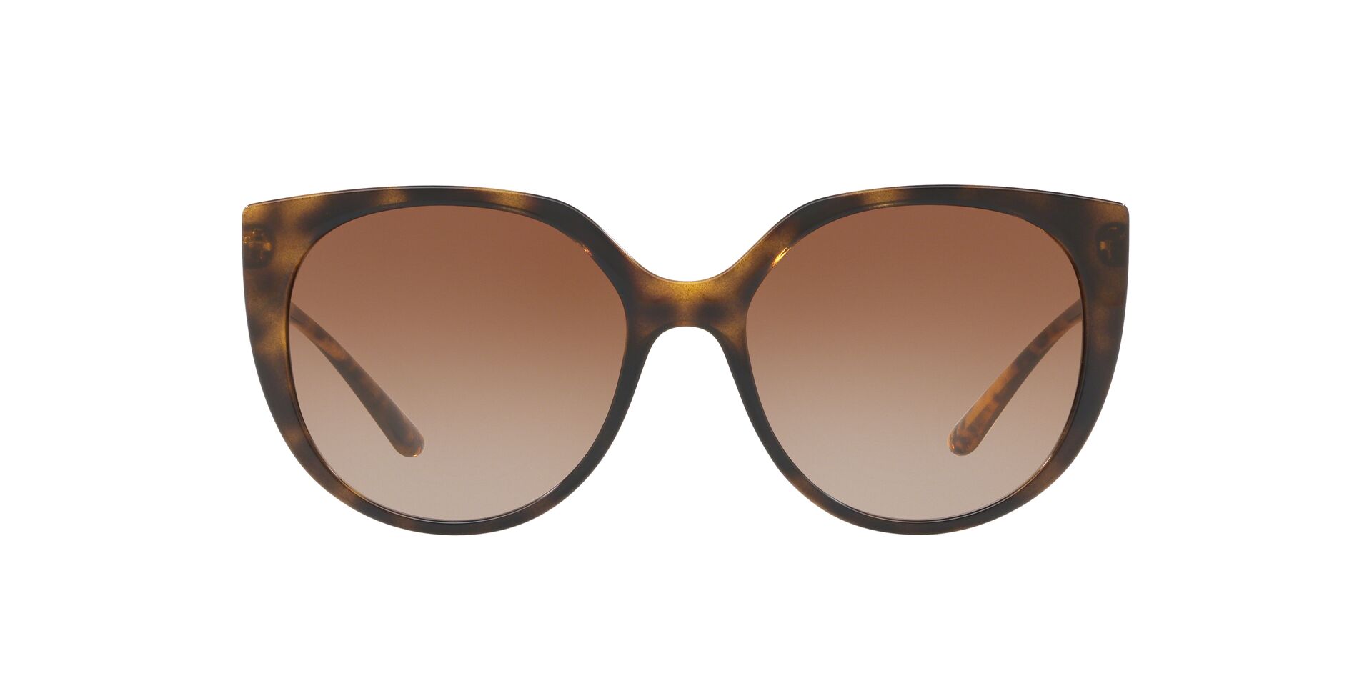 DG6119 Brown/Brown Gradient M