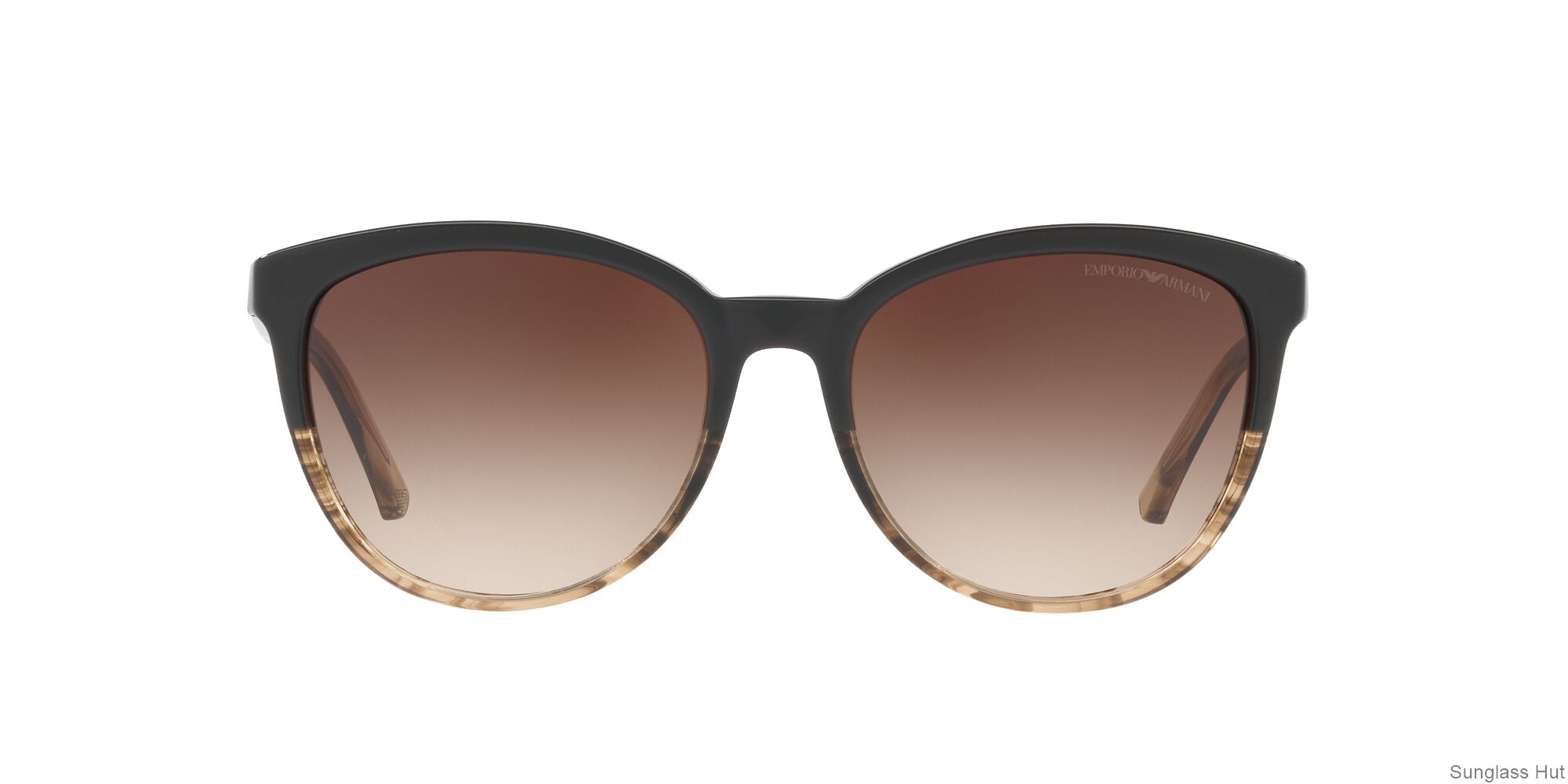 EA4101 /Gradient Brown M