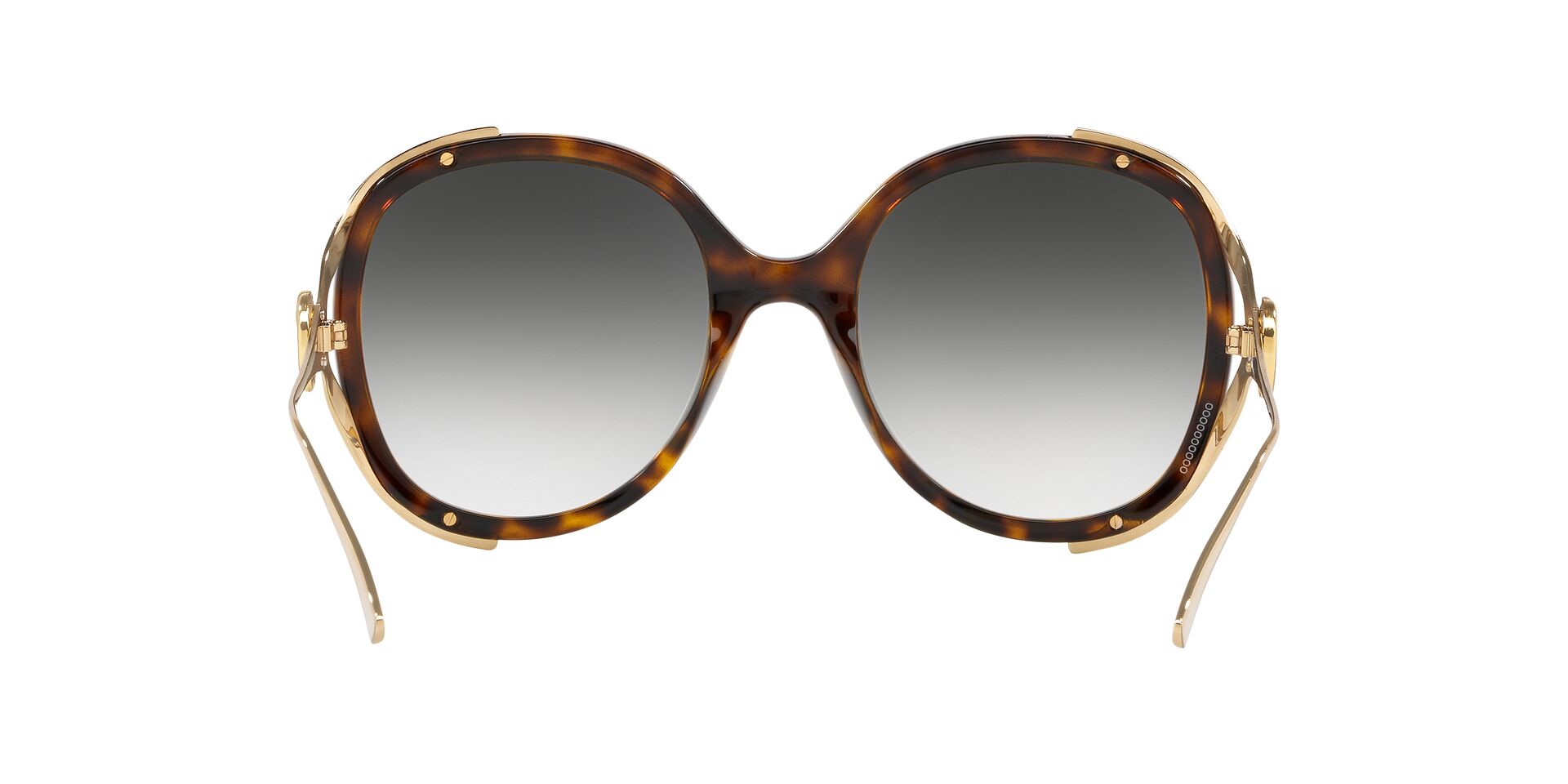 GC001102 Tortoise/Green Grad STD