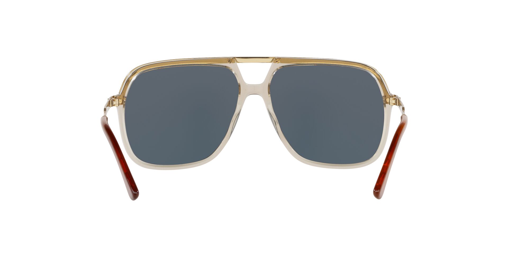 GC001106 Brown/Blue STD
