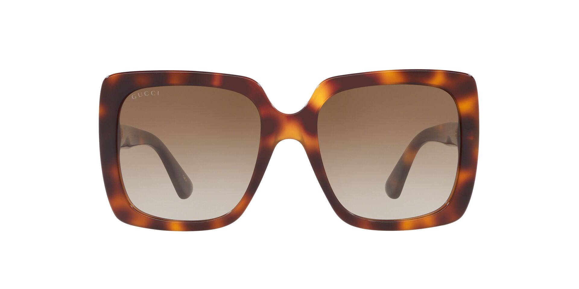 GC001176 Tortoise/Brown Grad STD