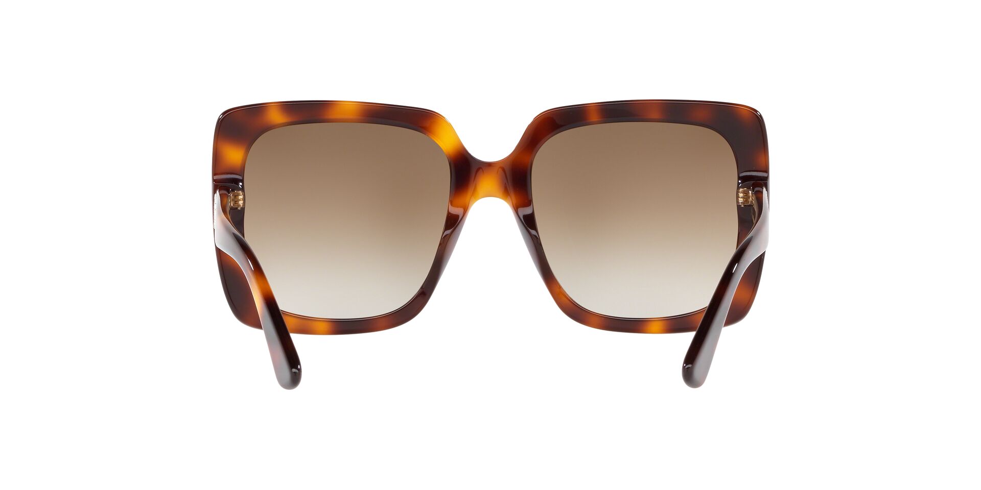 GC001176 Tortoise/Brown Grad STD