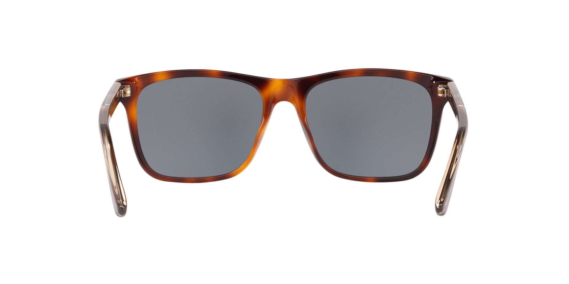 GC001188 Tortoise/Blue STD