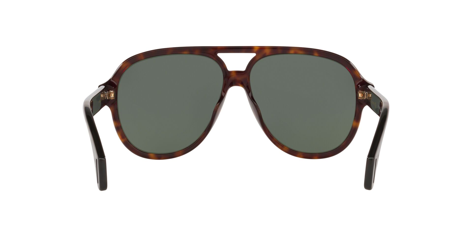 GC001217 Tortoise/Green STD