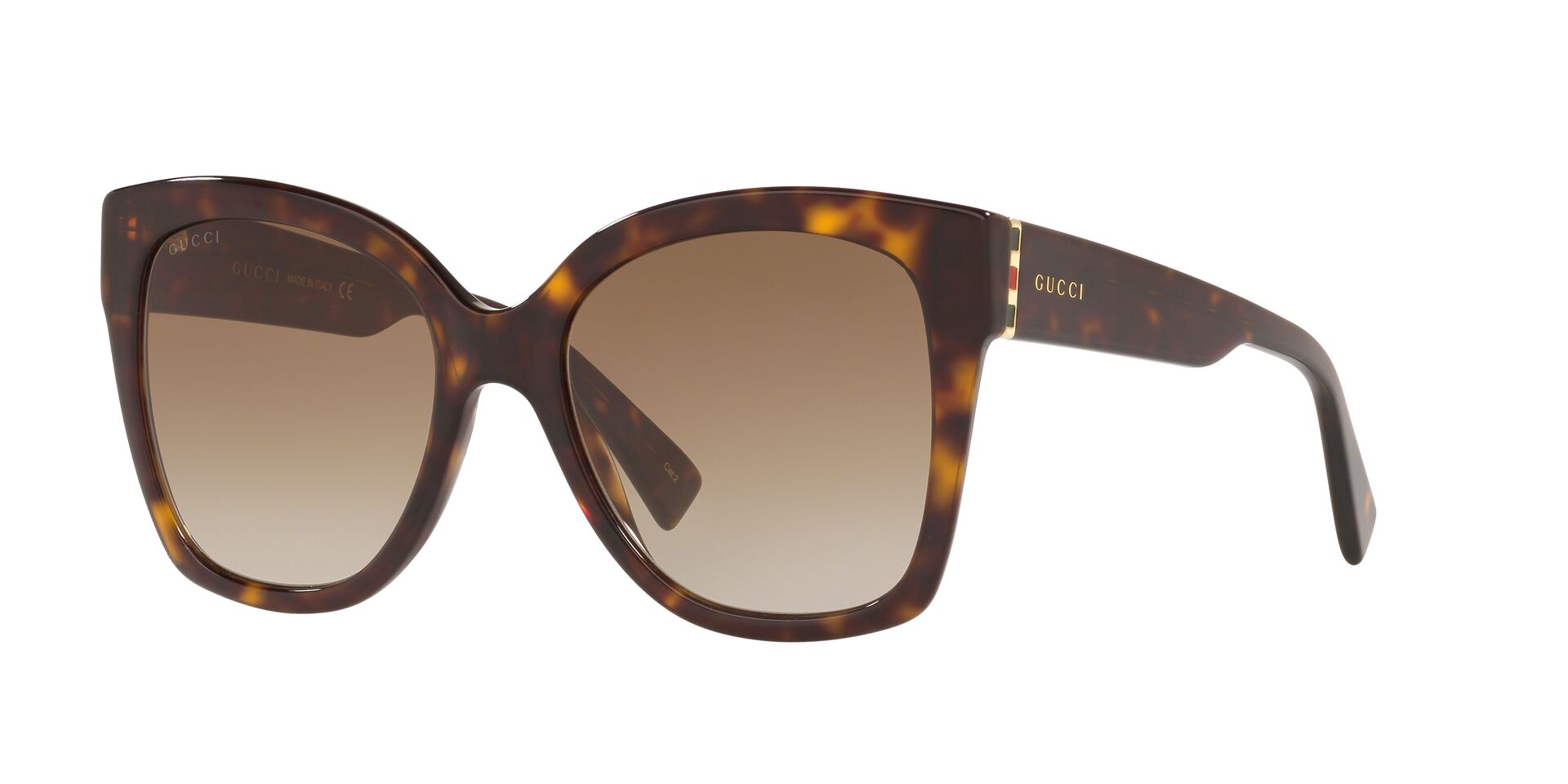 GC001221 Tortoise/Brown STD