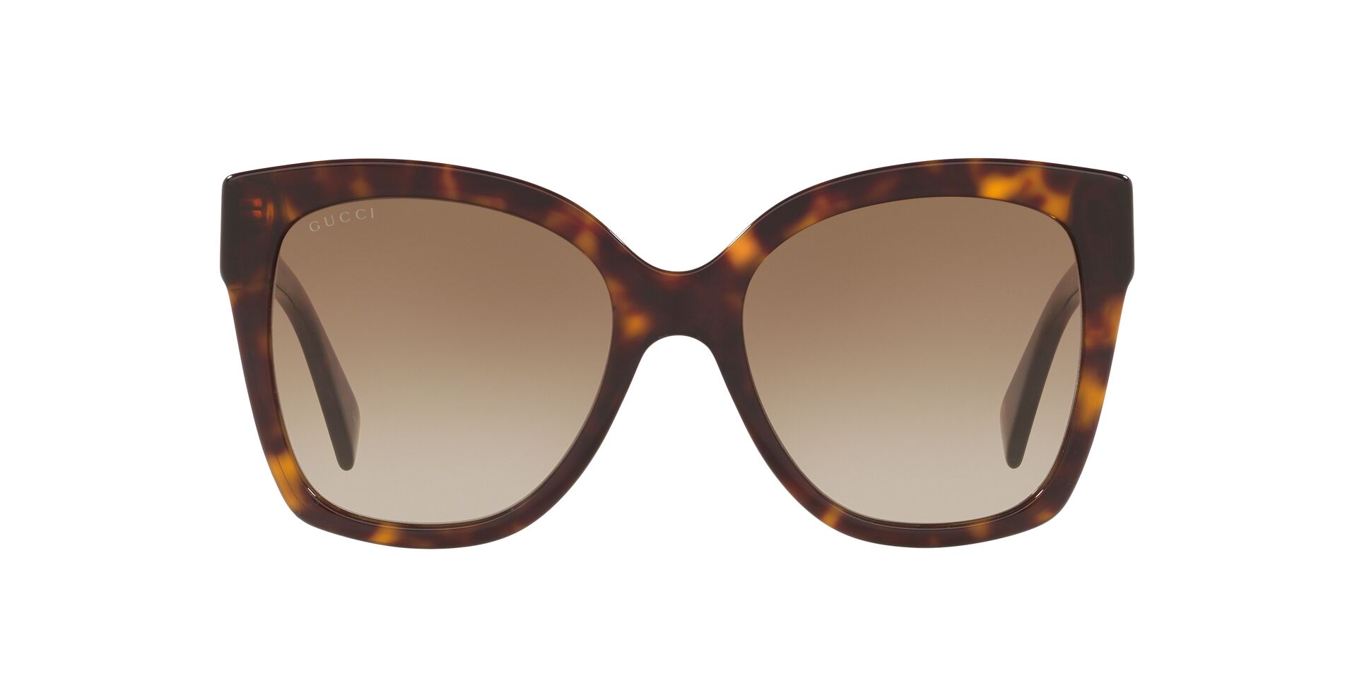 GC001221 Tortoise/Brown STD