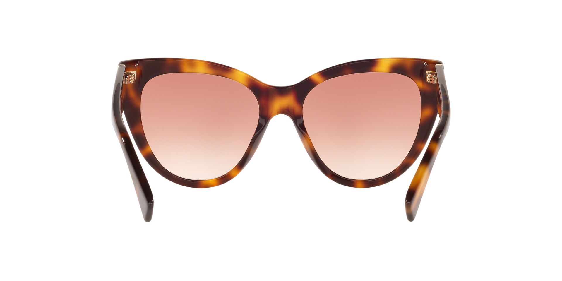 GC001222 Tortoise/Red STD
