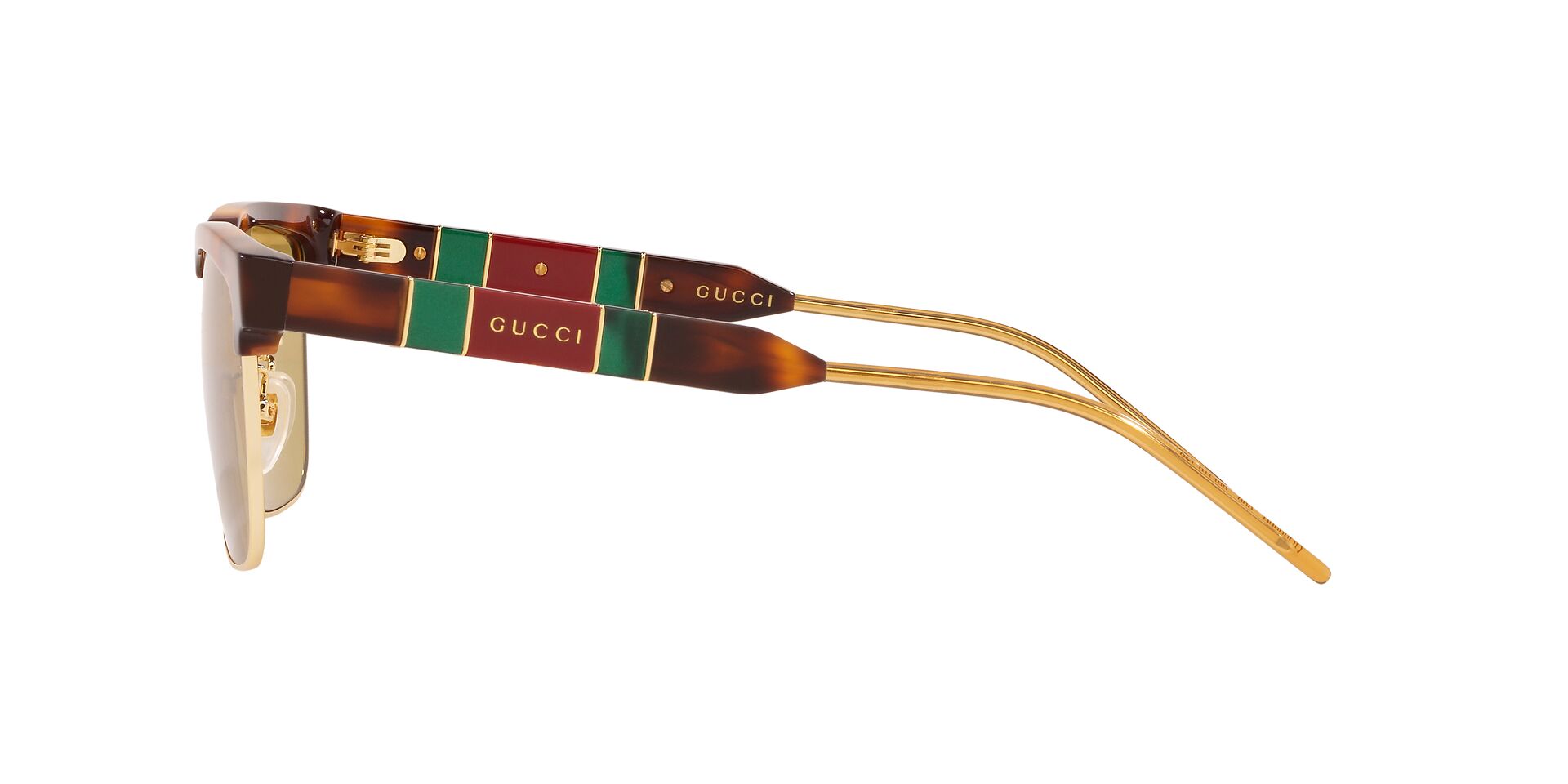 GC001342 Tortoise/Yellow