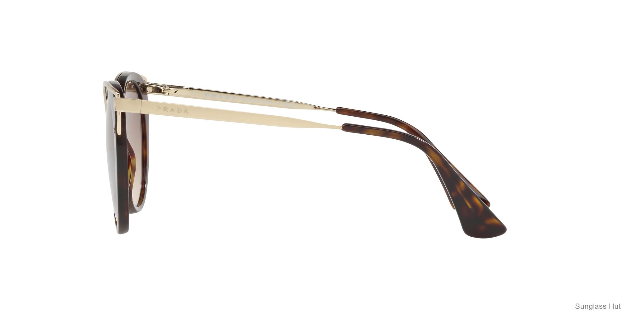 PR 66TS Gold/Brown Gradient XXL