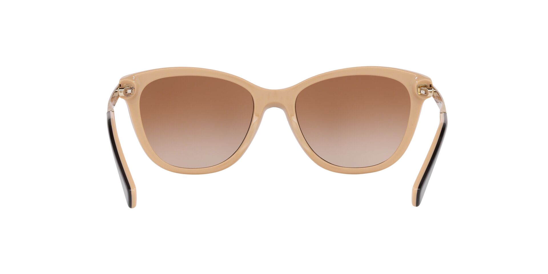 RA5201 /Gradient Brown M
