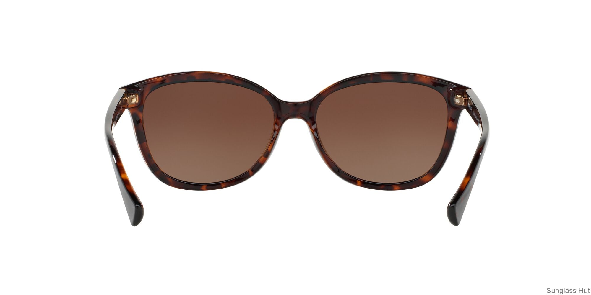 RA5222 /Polar Gradient Brown/Polarized L