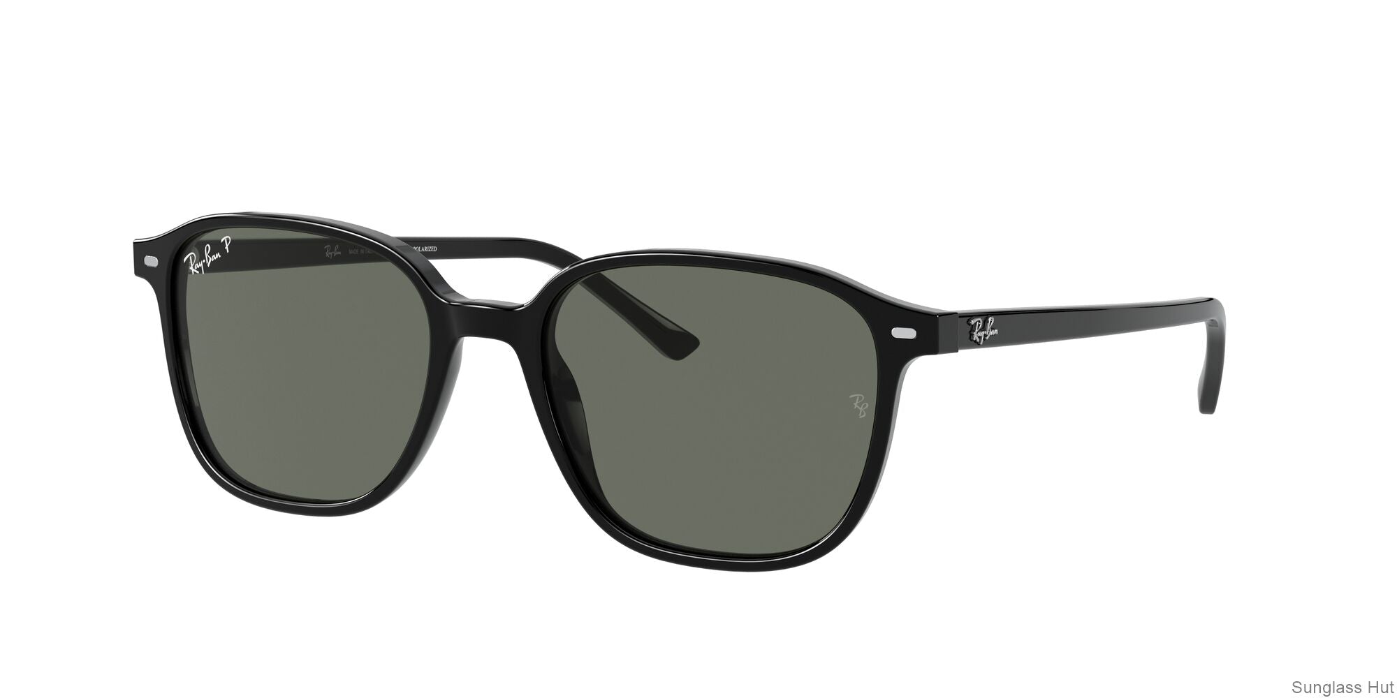 RB2193 Black/Polarized Green Classic G-15/Polarized STD