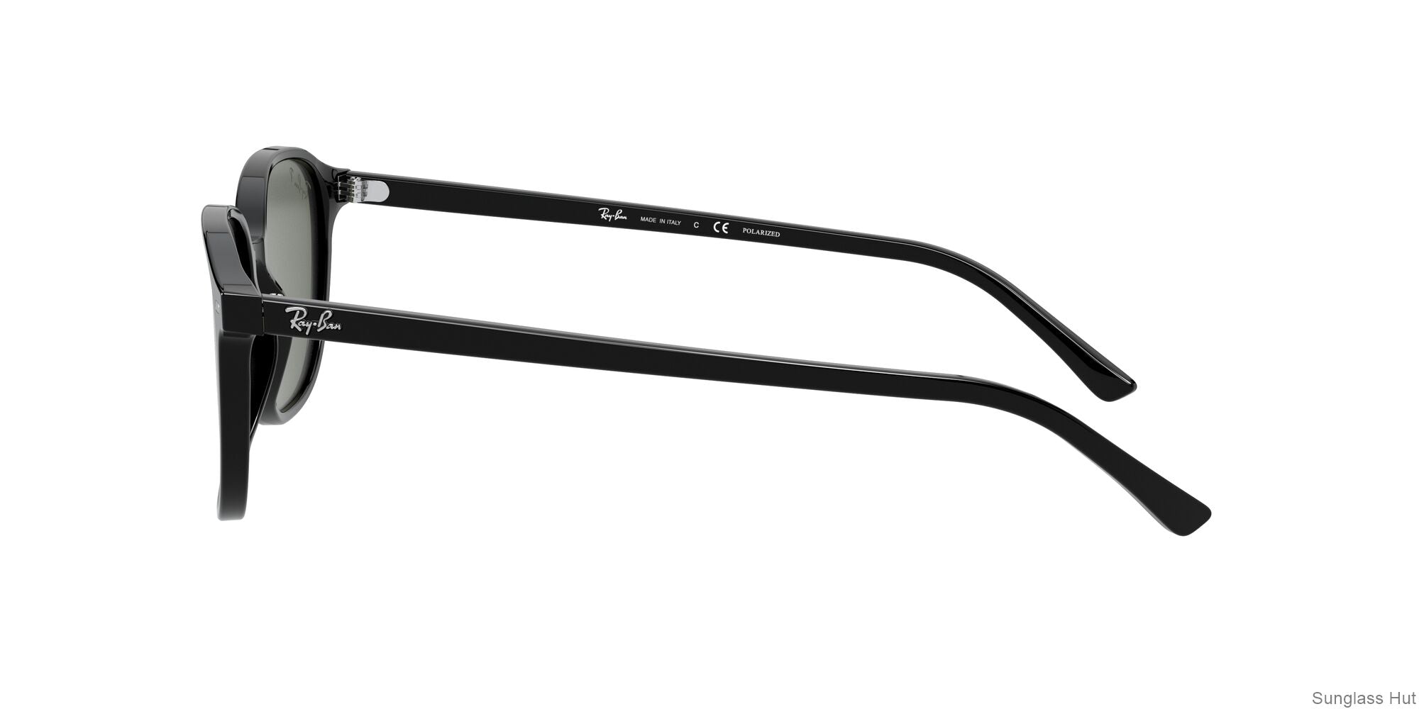RB2193 Black/Polarized Green Classic G-15/Polarized STD