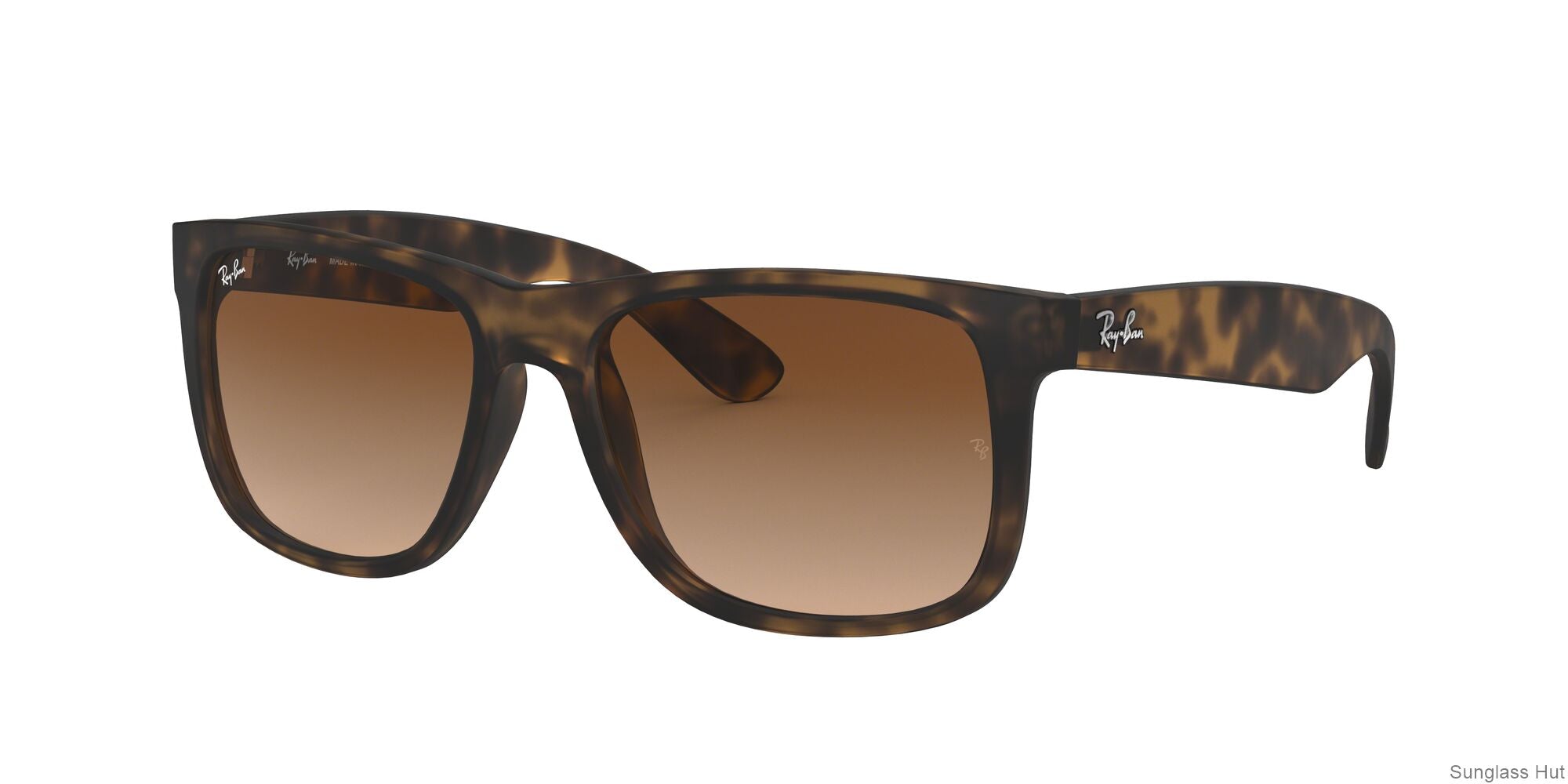 RB4165 Tortoise/Brown Gradient STD
