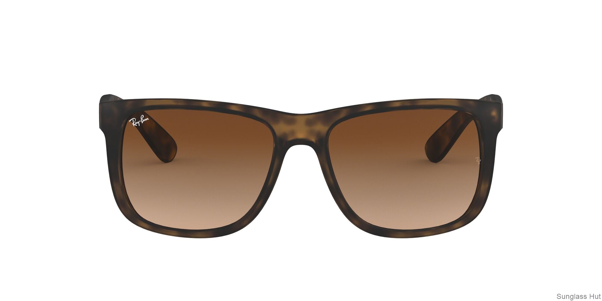 RB4165 Tortoise/Brown Gradient STD