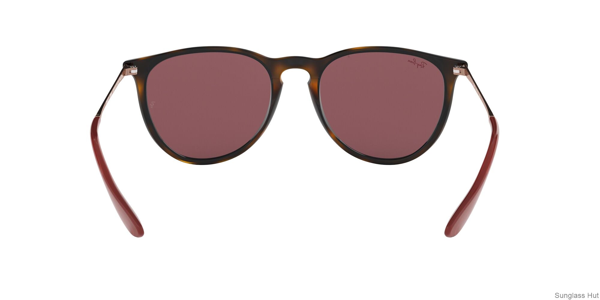 RB4171 Copper/Dark Violet STD