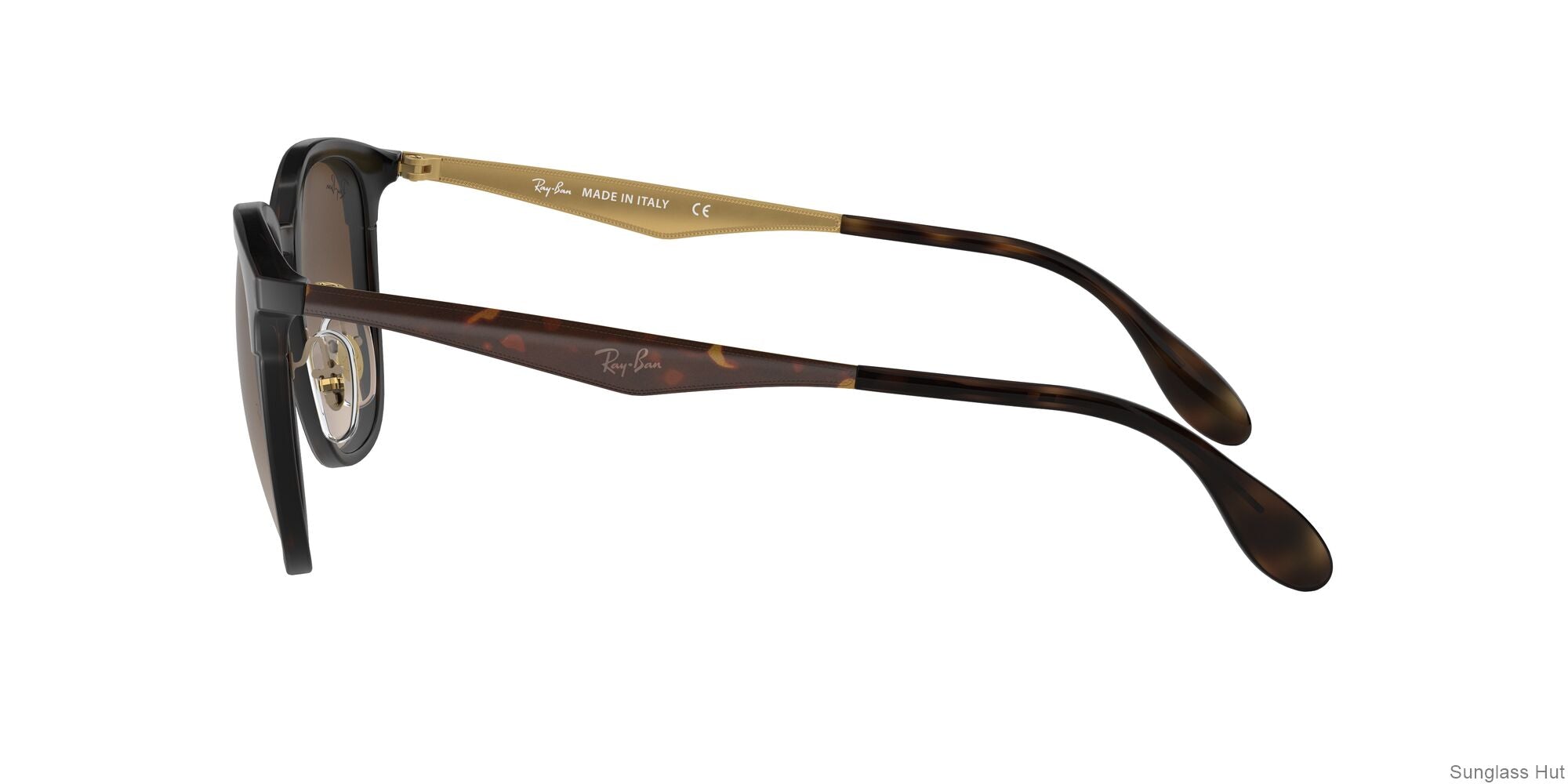 RB4278 Tortoise/Brown Gradient Dark Brown STD
