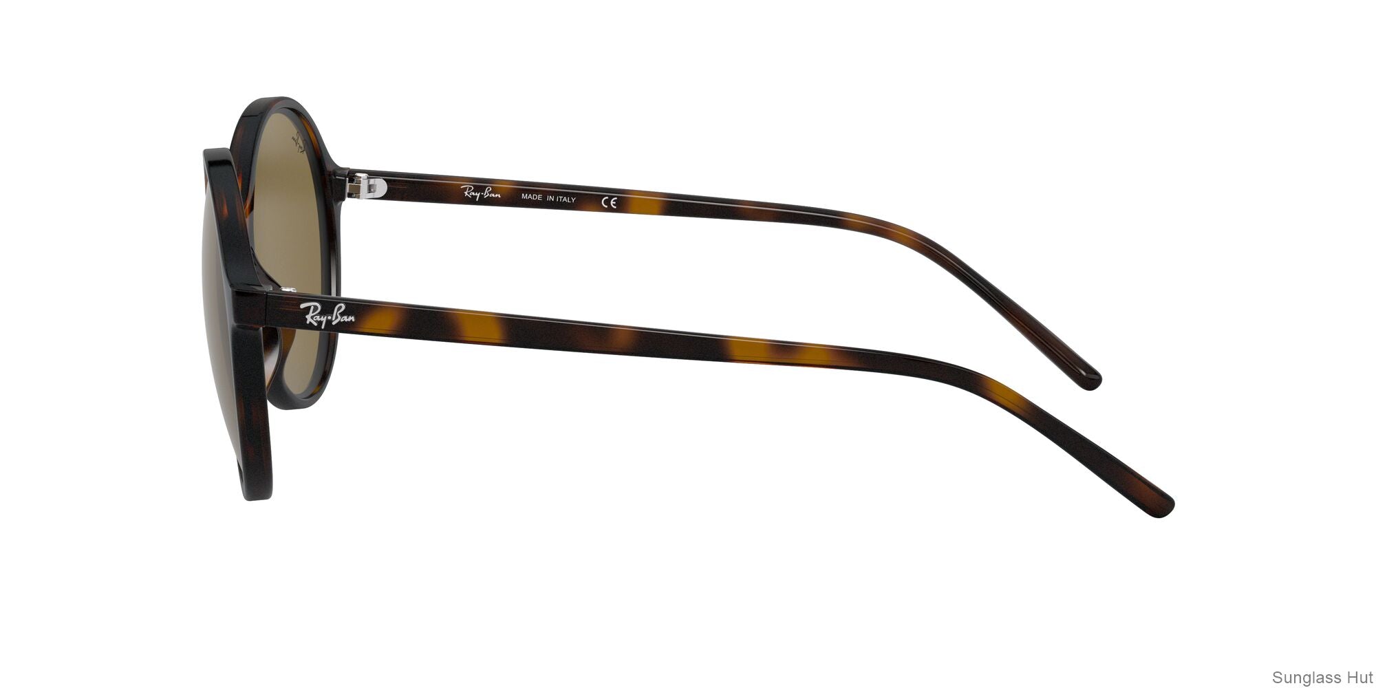 RB4304 Tortoise/Dark Brown STD