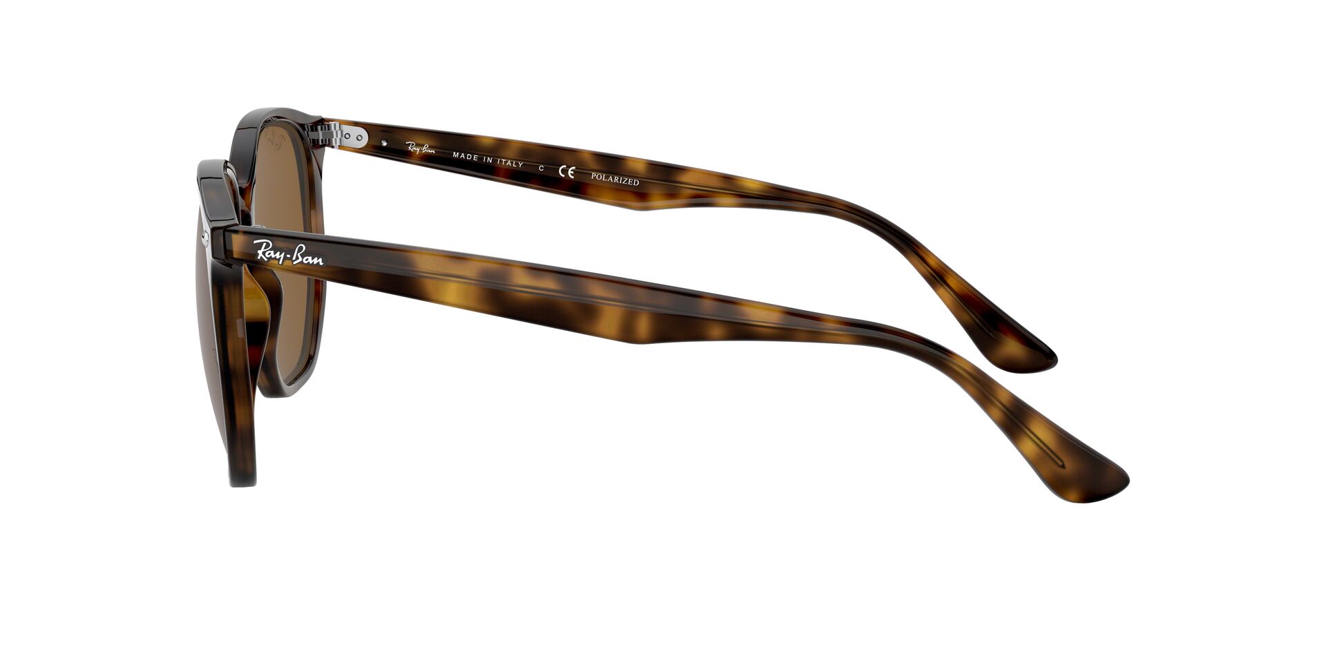 RB4306 Tortoise/Brown/Polarized STD