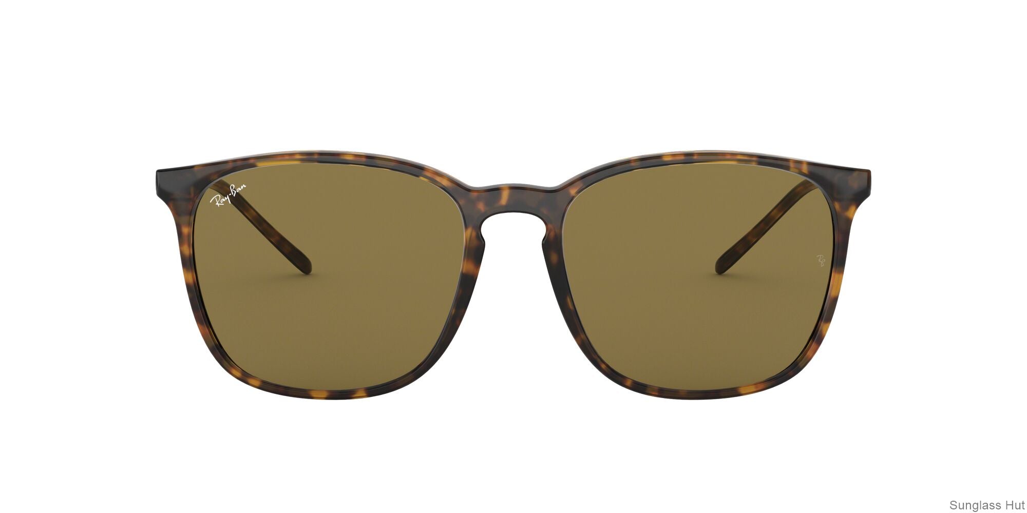 RB4387 Tortoise/Dark Brown STD
