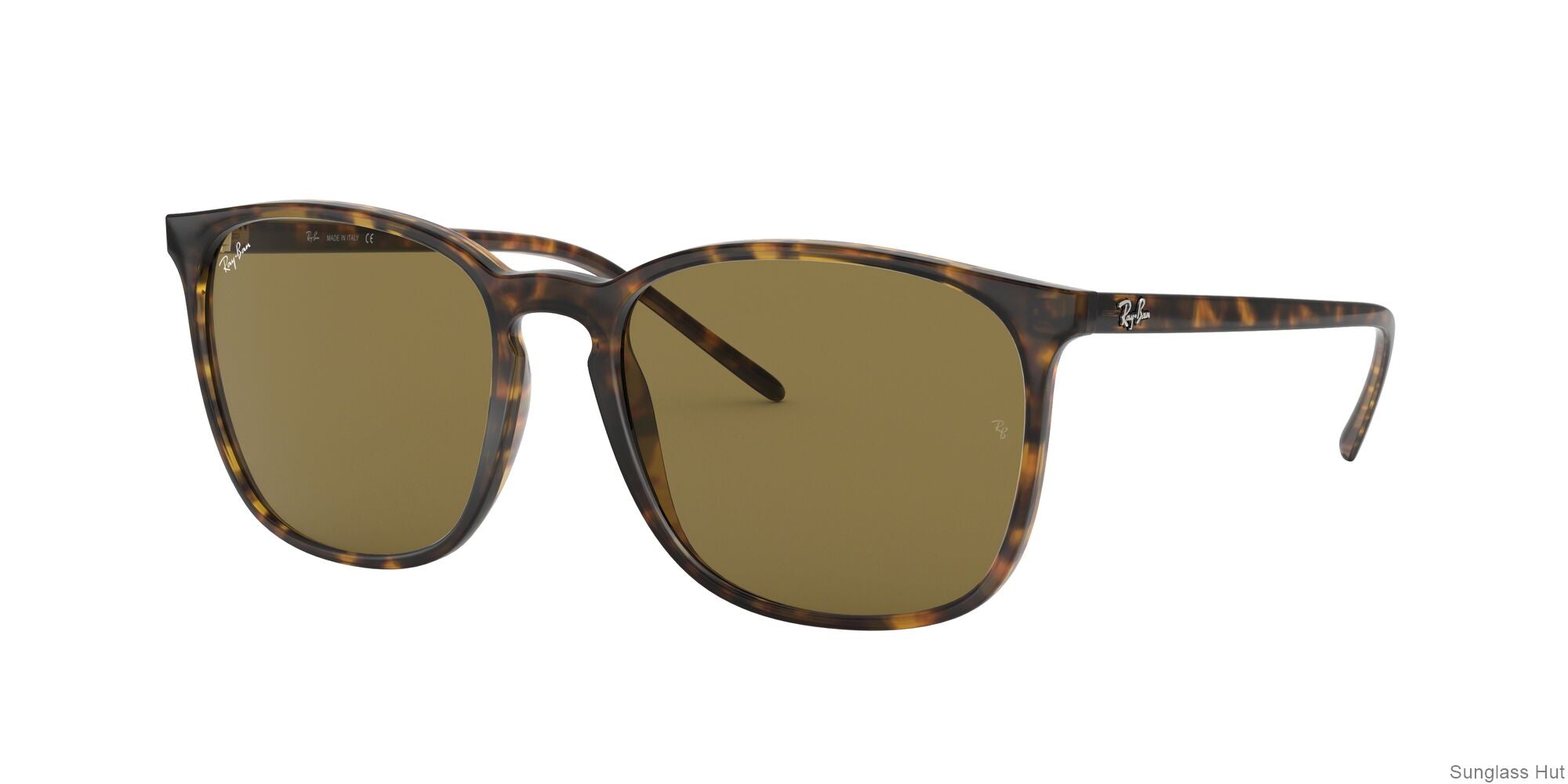 RB4387 Tortoise/Dark Brown STD