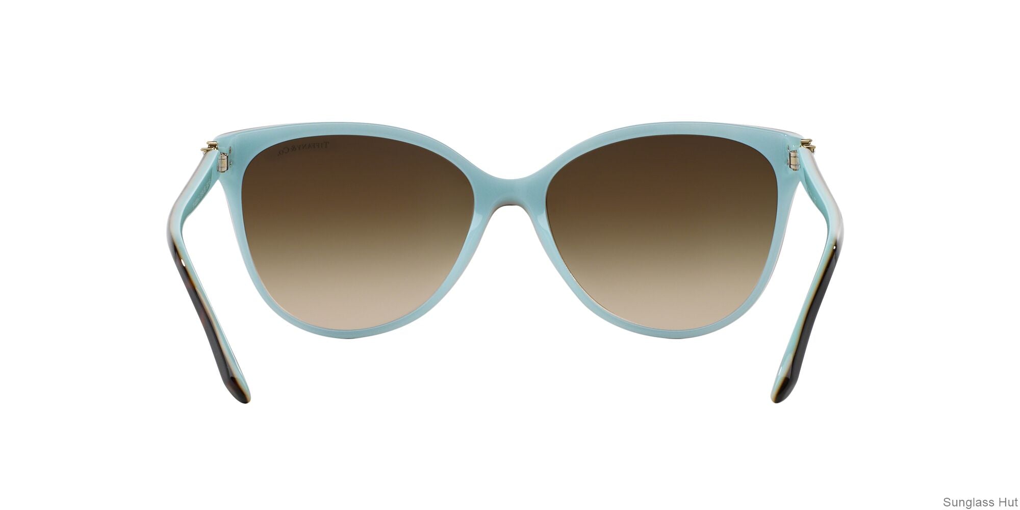 TF4089B /Brown Gradient L