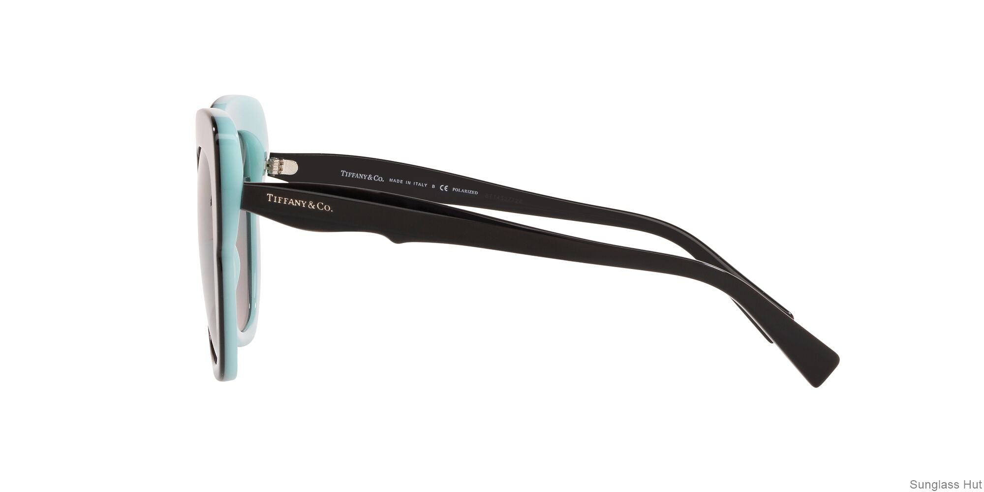 TF4161 Black/Polar Grey/Polarized M
