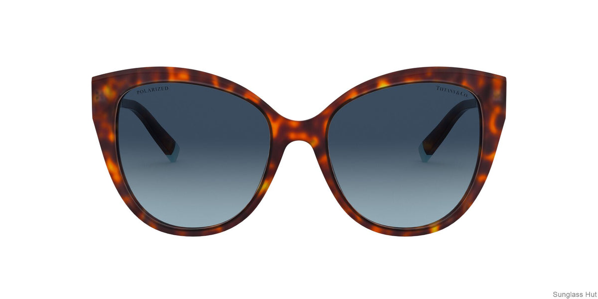 TF4166 Silver/Polar Tiffany Blue Gradient/Polarized L