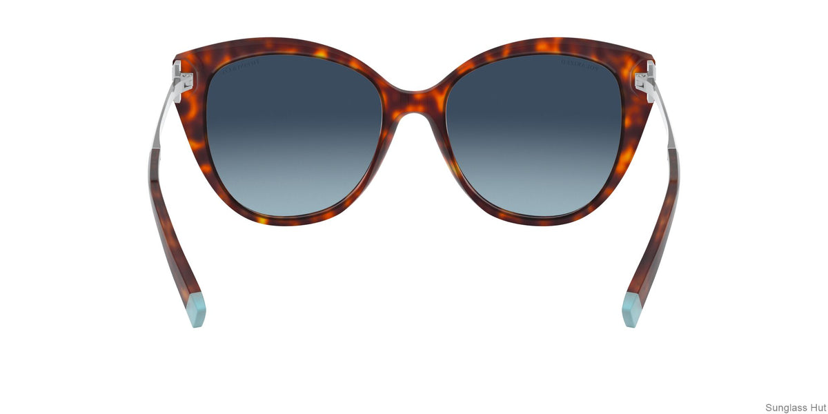 TF4166 Silver/Polar Tiffany Blue Gradient/Polarized L