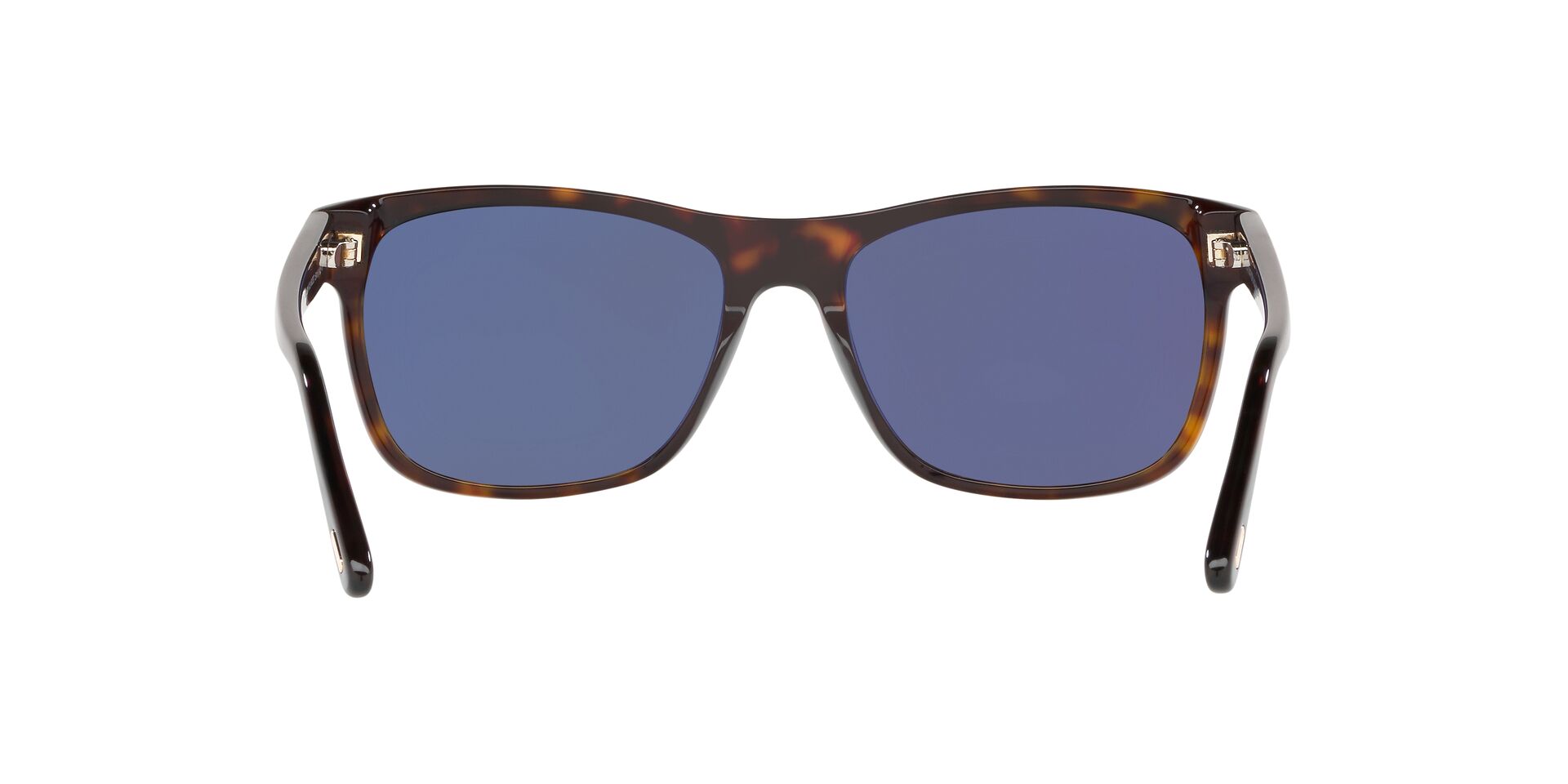 TR001050 Tortoise/Grey Polar/Polarized STD