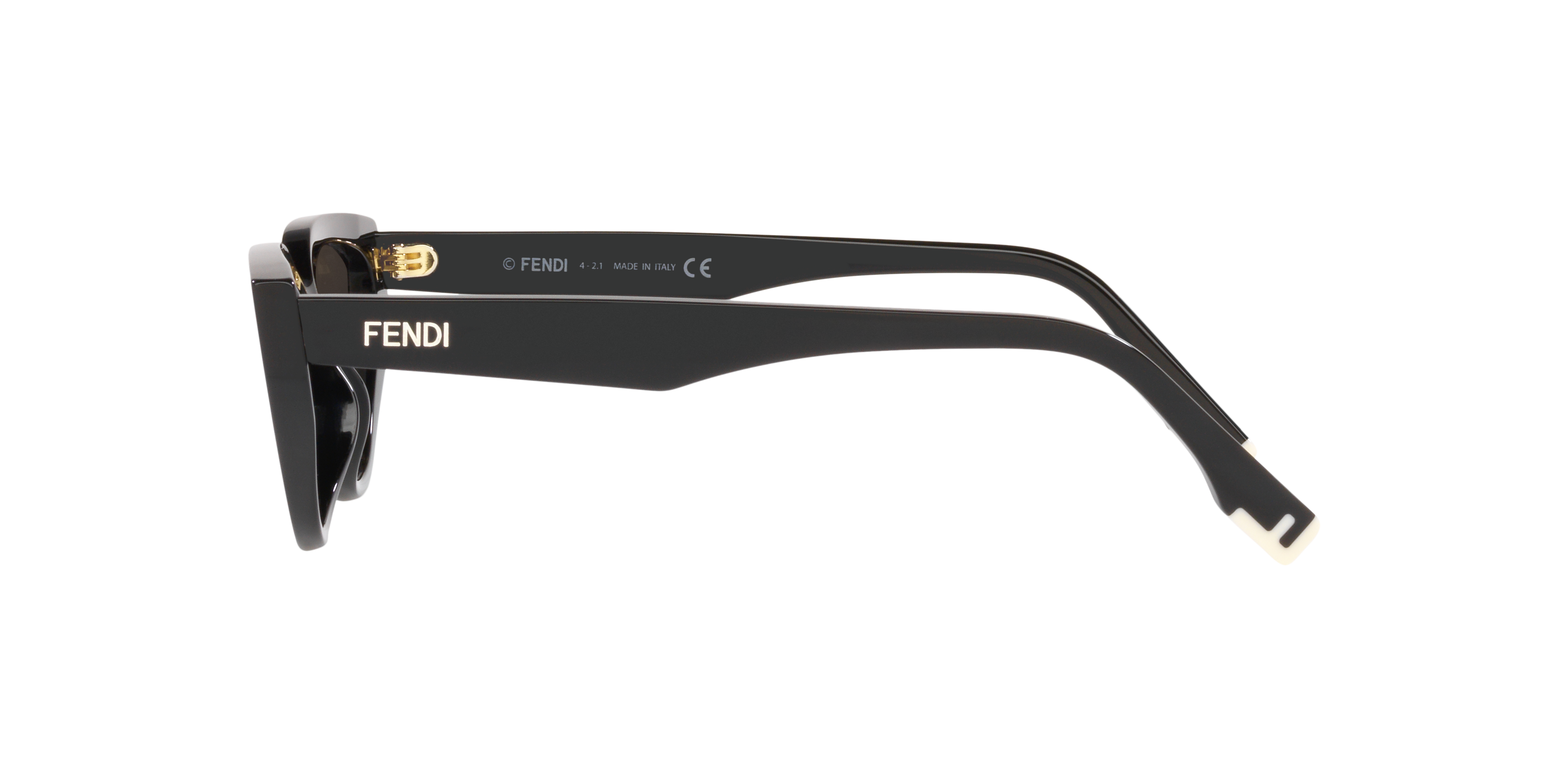 FE40009I Fendi Black/Grey XXS