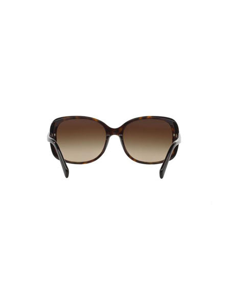 PR 08OS Brown/Brown Gradient L