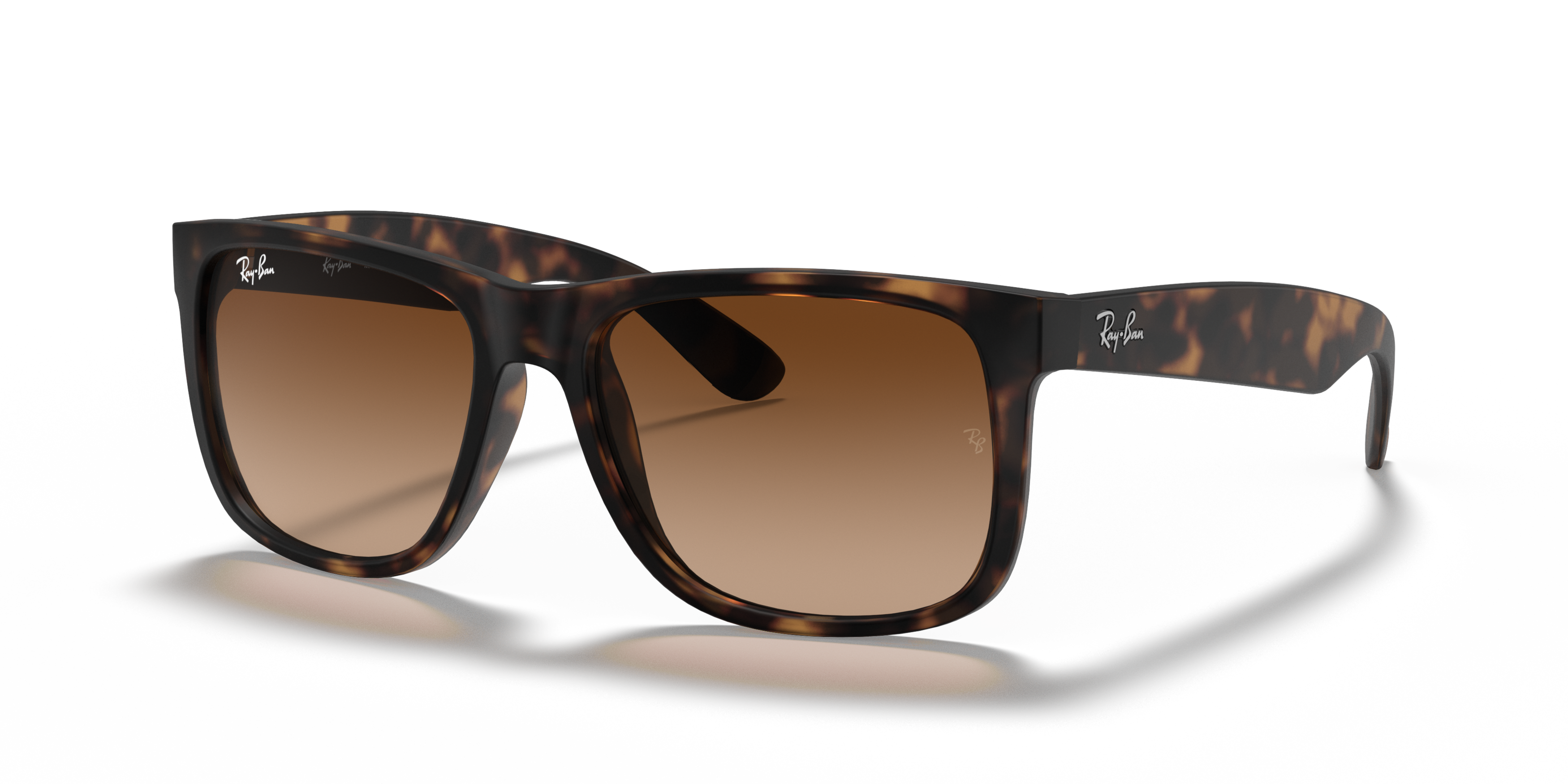 RB4165 Tortoise/Brown Gradient STD