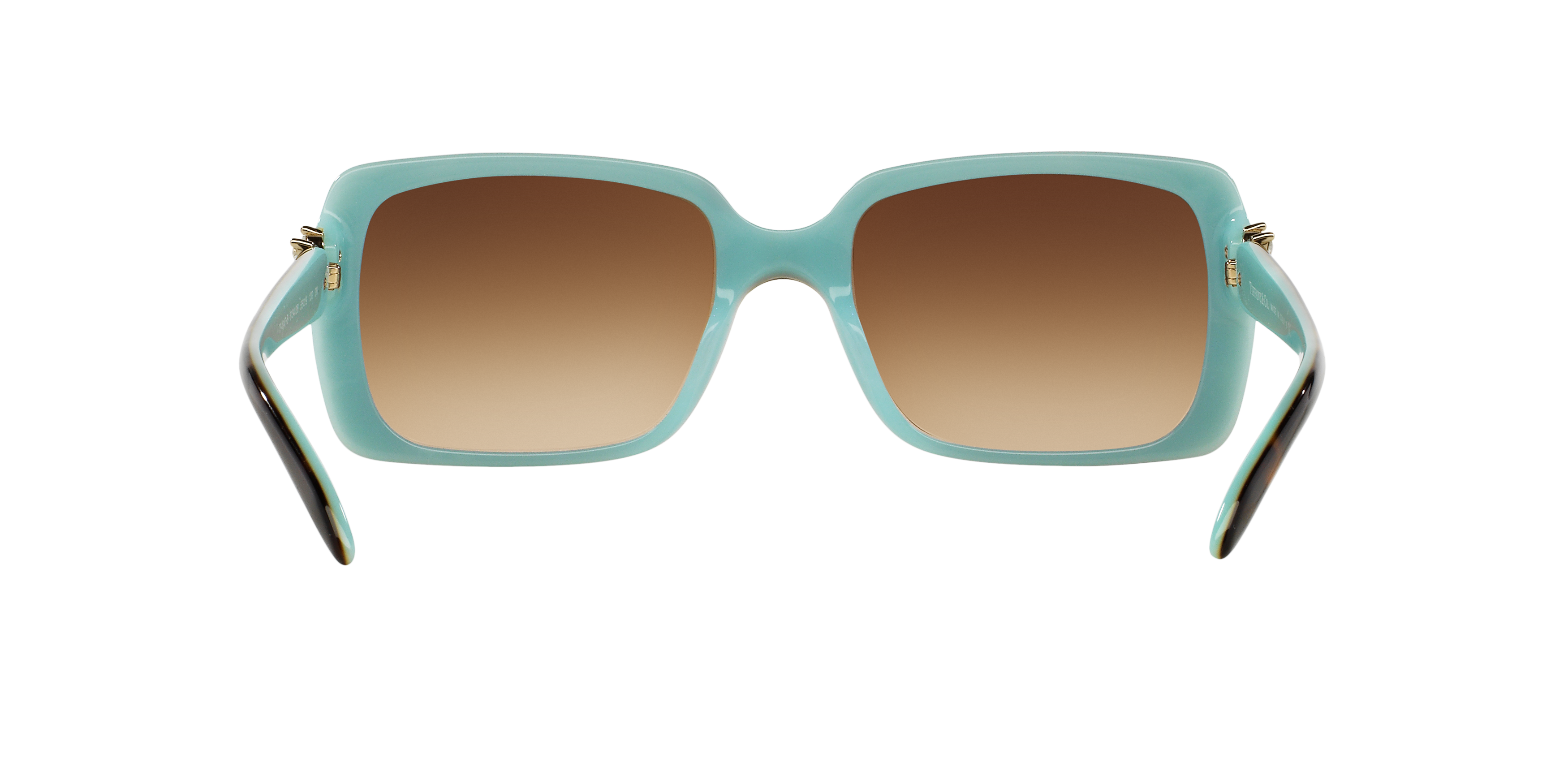 TF4047B Brown/Brown Gradient M