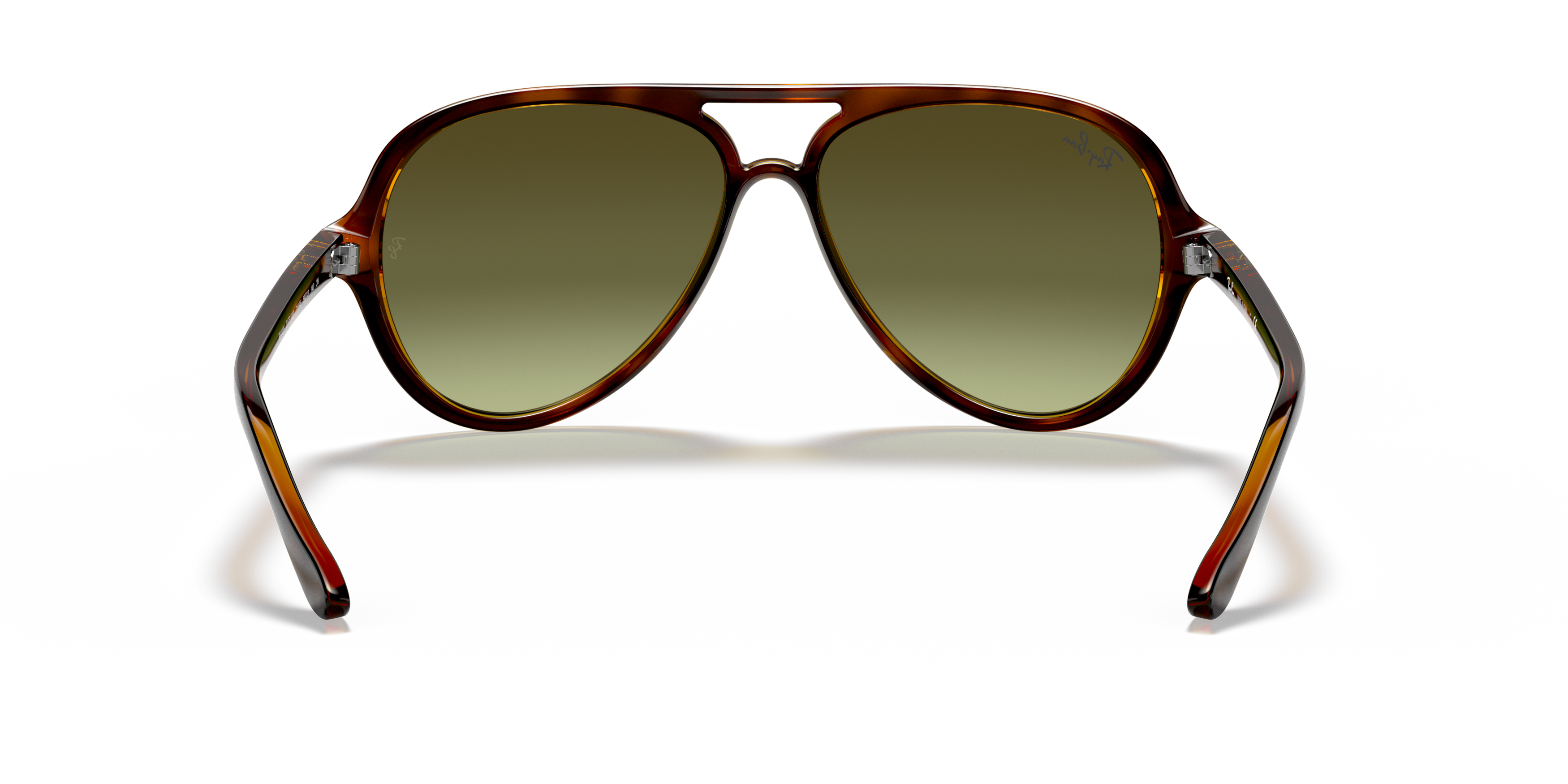 RB4125 Tortoise/Green Gradient STD