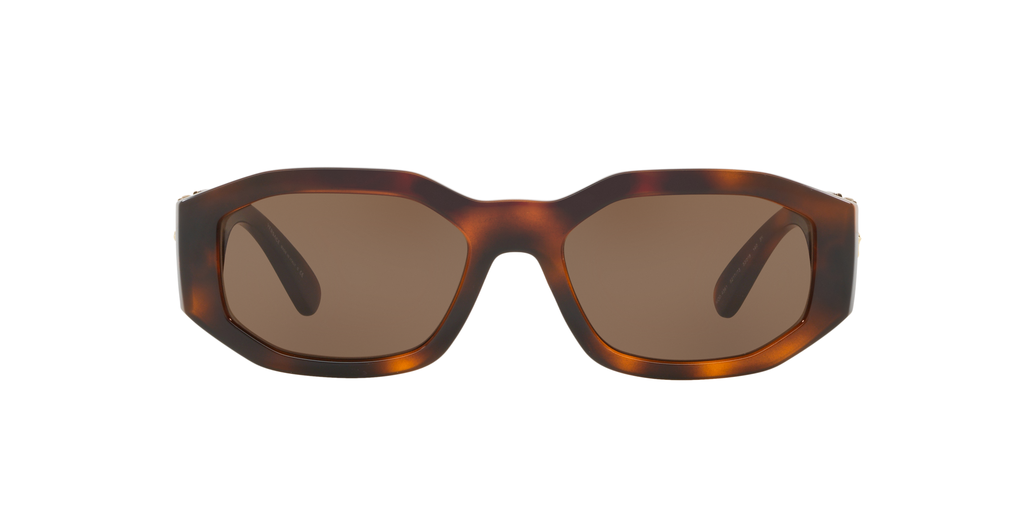 VE4361 Tortoise/Dark Brown/Polarized